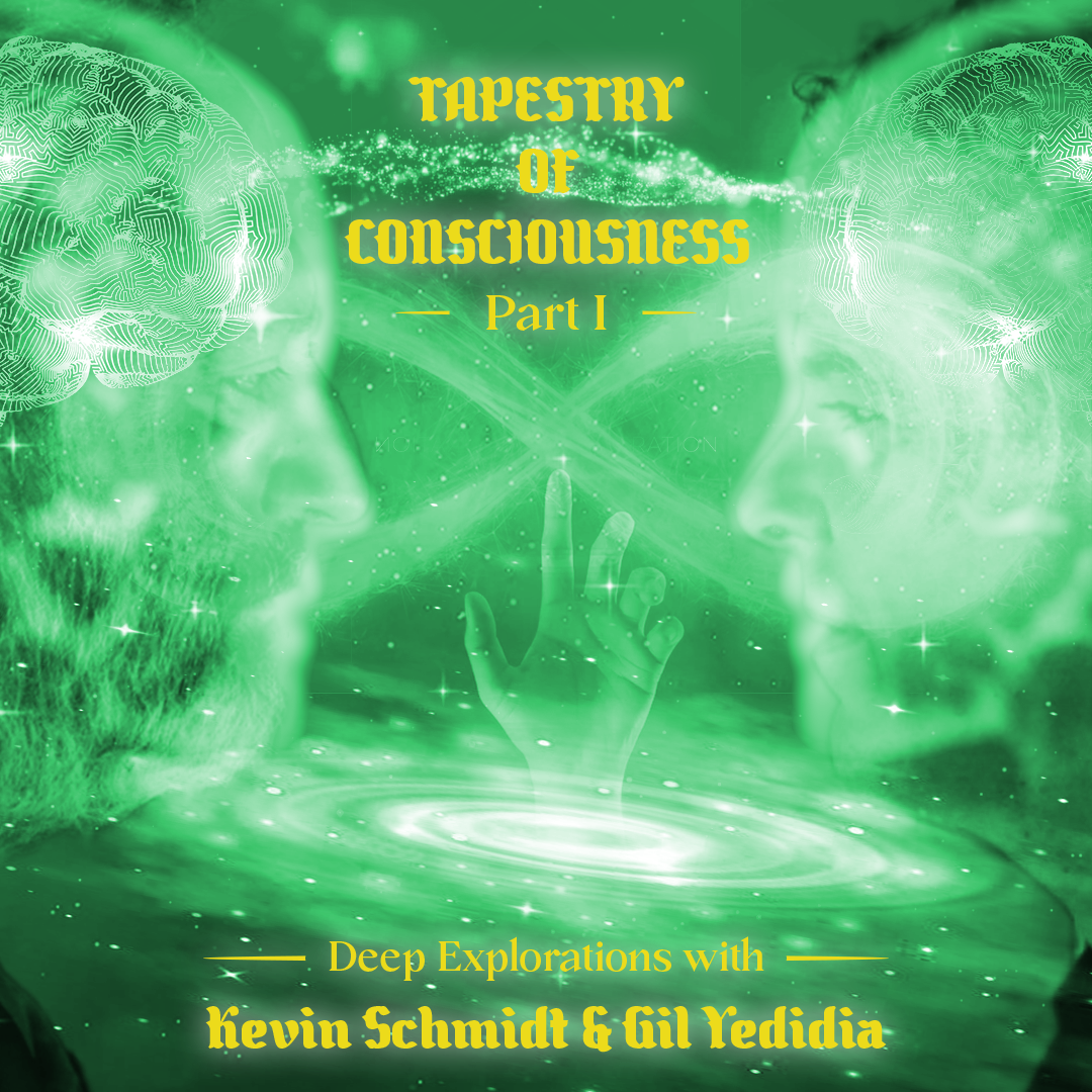Tapestry Of Consciousness Part I