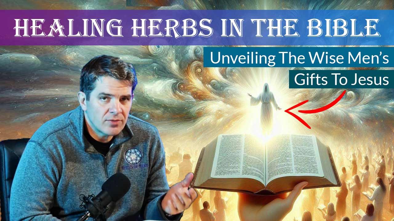 Healing Herbs In The Bible unveiling the wise men’s gifts to Jesus