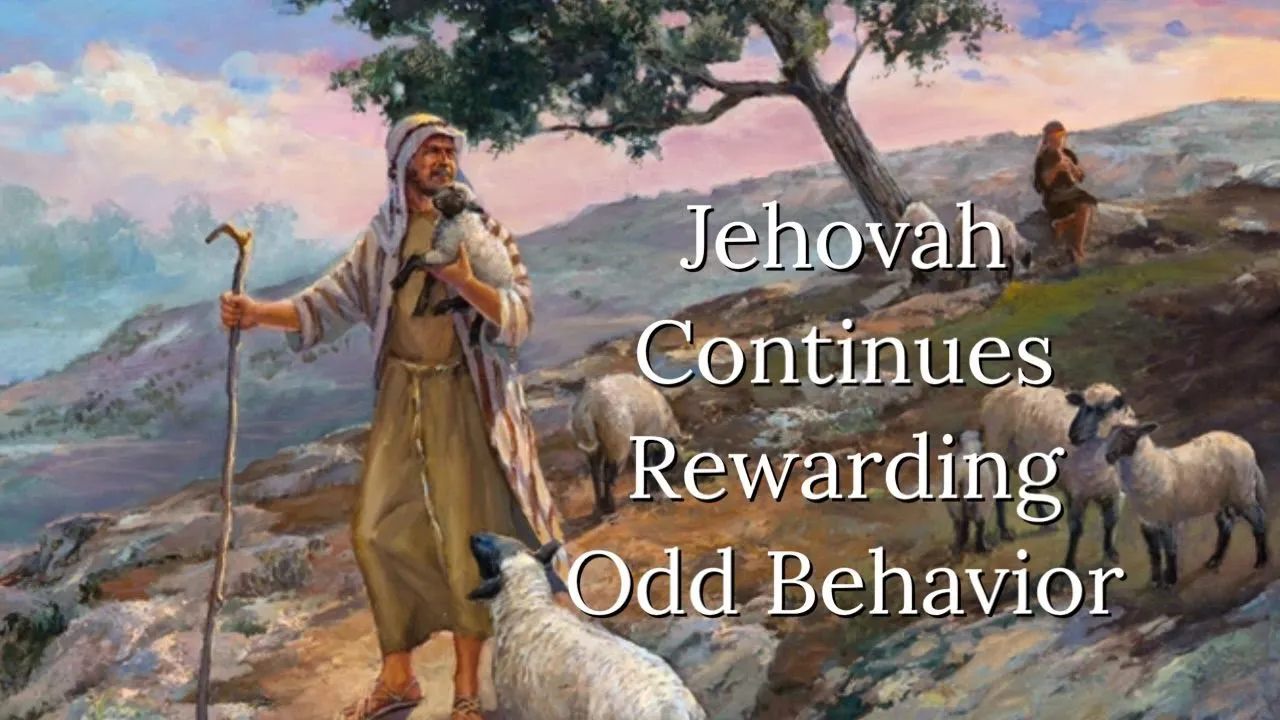 hehovah continues rewarding odd behavior